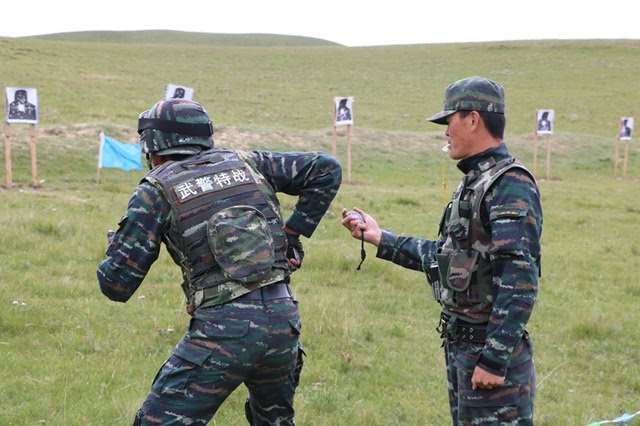 建军90周年:武警部队青海海北支队强抓训练 迎半年大考