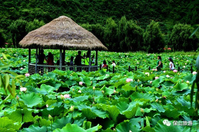 怡情施甸山邑野鸭湖-旅游频道-手机搜狐