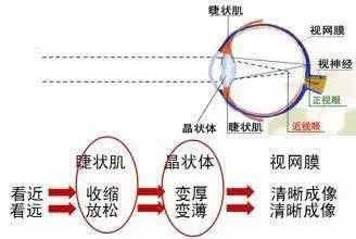 距离太近,眼睛容易近视 我