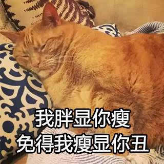 当这些胖猫被做成表情包,简直不要太魔性啊哈哈哈.