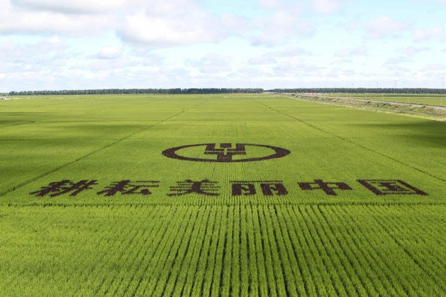 有了这个想法后,刘金锁找到当地农行,要来了行徽和"耕耘美丽中国"六个