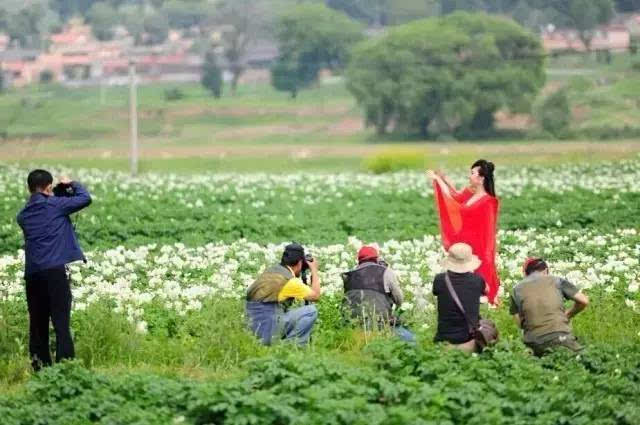 今天土豆花开旅游文化月正式开幕,老乡们,我们在岚县等你!