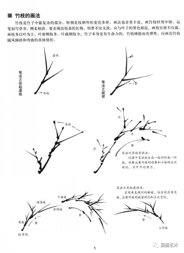 图文教程:中国画技法基础教学之竹子的画法