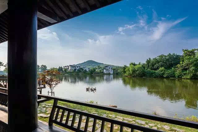 住在江宁的哪也别去了,南京最好玩的景点都在你家门口