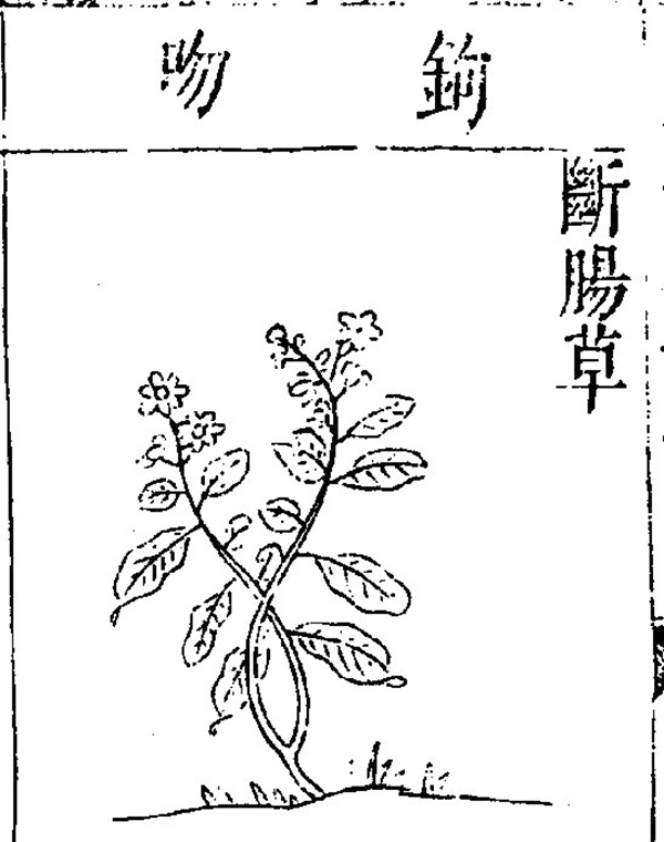 王家葵谈中国古典文学中的毒药和解药