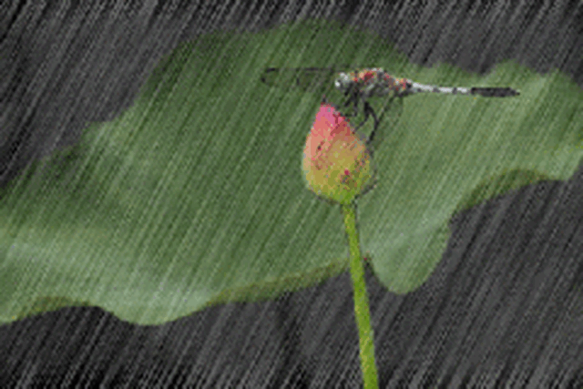 一曲老情歌《相思雨》,唱给爱我的和我爱的人