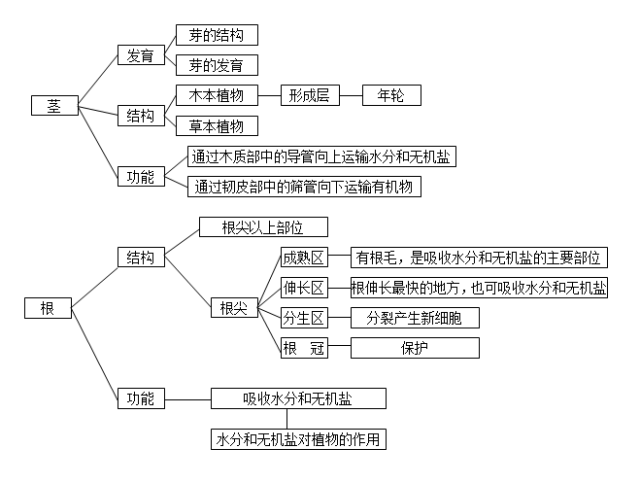 初中生物| 学科思维导图,10个专题扫清三年知识点(附