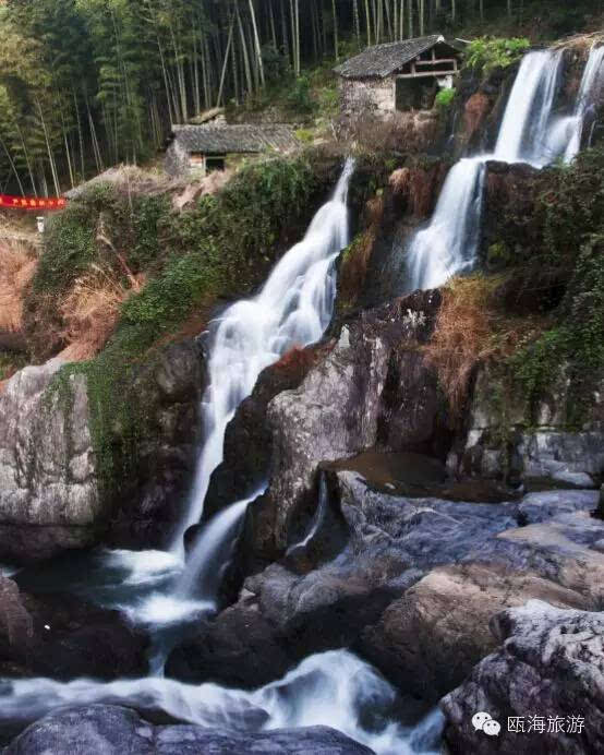 环大罗山文化 涵盖仙岩,茶山,丽岙三个街道 宗教文化,"绿"文化,名人