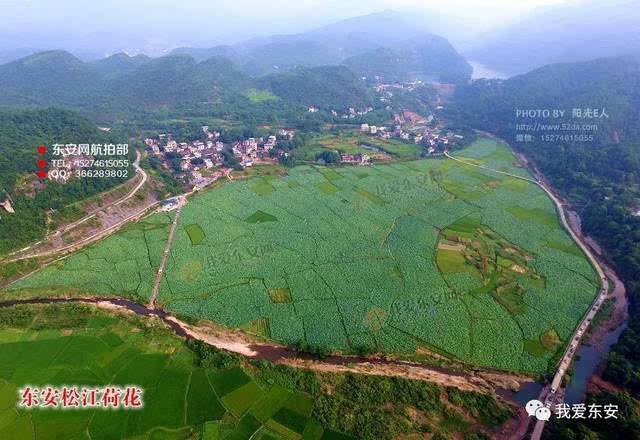 "唱幸福欢歌 赏千亩荷花"暨东安首届荷花节活动在川岩乡松江村隆重