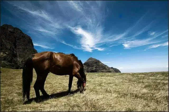 " 清朗的天空 马匹低头吃草 远处就是天际 一副岁月静好的画面 山上有