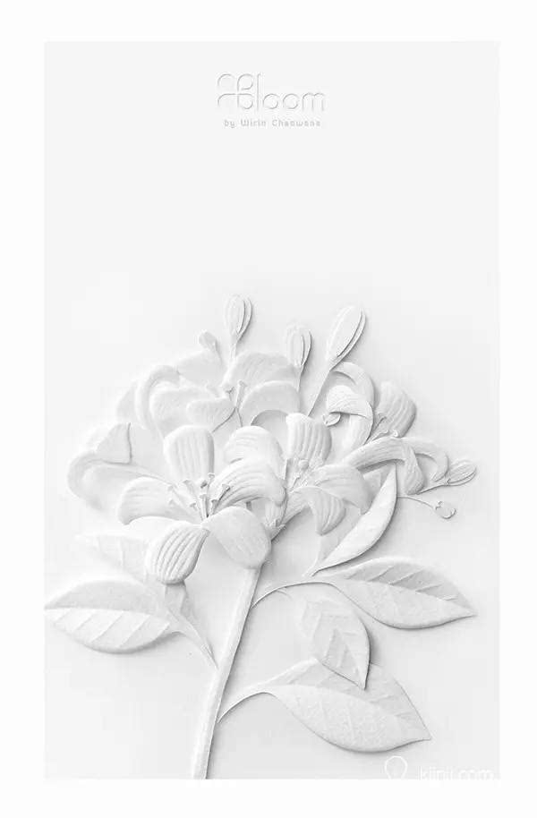 看,纸花比真花更美丽!设计师以纸雕重新诠释传统花艺之美