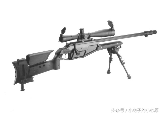 德国blaser r93狙击步枪 看上去跟中国26式有点像
