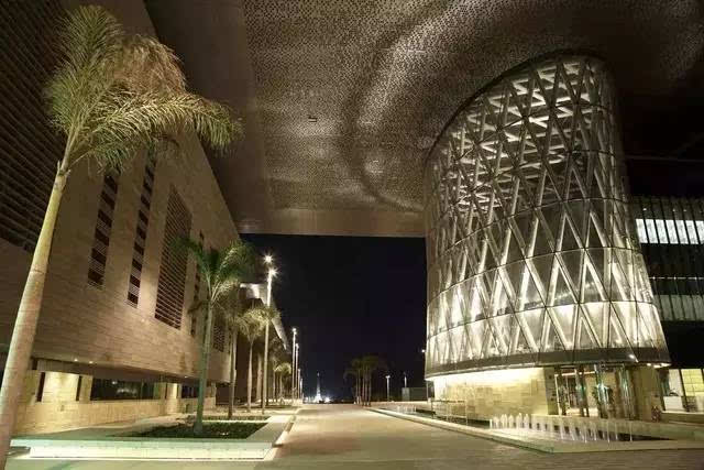 沙特阿拉伯国王科技大学