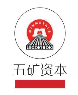 五矿信托,五矿证券,五矿经易期货,参股外贸租赁,安信基金,绵阳商行等