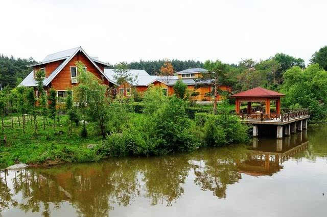 松江河的自然资源非常丰富,如若想开车自驾去长白山,旅途中你会经常