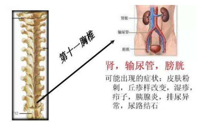 正骨的时候骨头咔咔响是什么原理_幸福是什么图片(2)