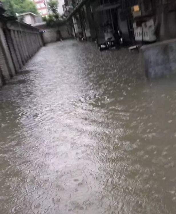 今年报天气的小乐几乎成了复读机 只会不停地说:中雨,大雨加暴雨