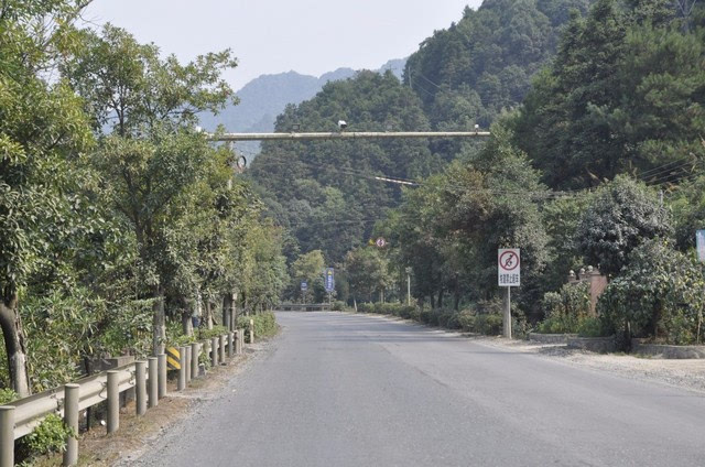 抓拍路段:317省道溪东路段 违法行为:开车打手机 弯道,窄桥,隧道等