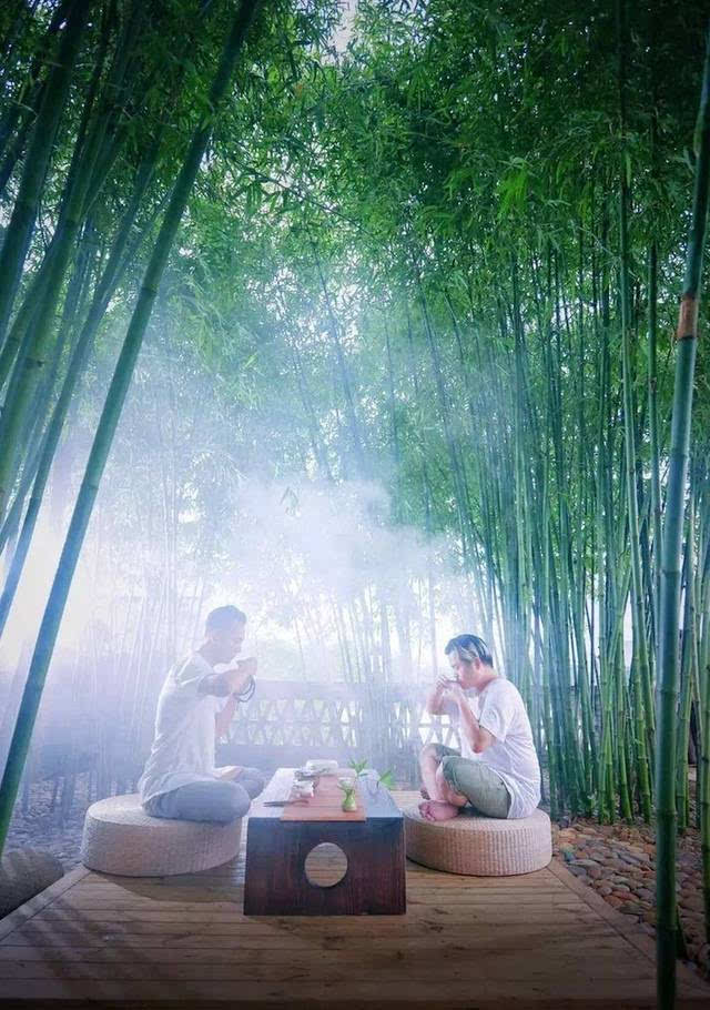 走入竹林深处 摆上齐备茶具 两三亲友 伴着竹叶的低吟 喝喝茶,谈人生