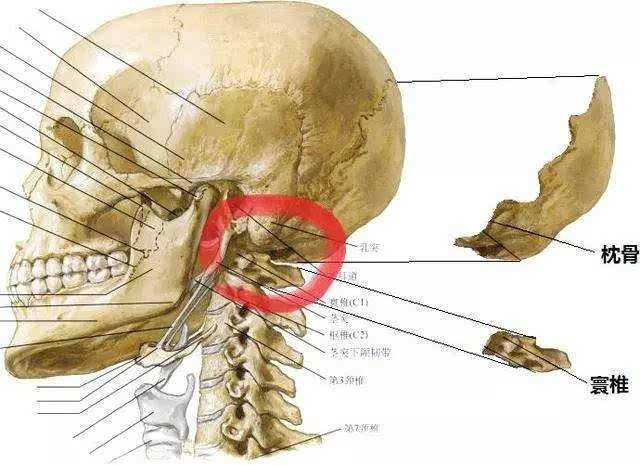 经典病例 | 幸亏妈妈细心,8岁儿子突然被发现眨眼不停