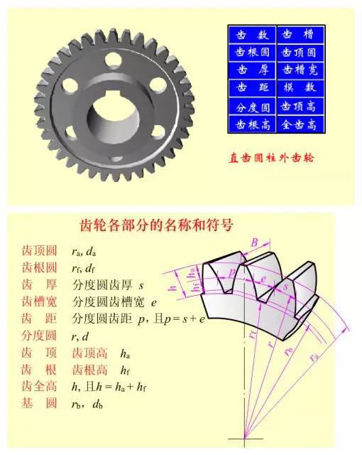 直齿轮在啮合时沿整个齿宽同时进入啮合,退出啮合,,它的