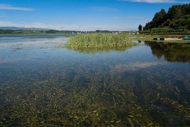 毕节威宁草海天水相连-2017暑假游贵州