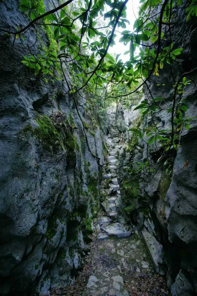 三衢石林景区由大古山,小古山,三衢山三部分组成,以天坑,紫藤峡谷