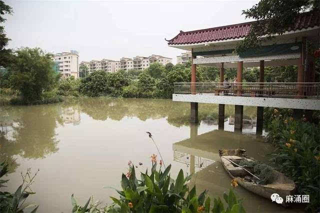 大岭山镇 鸡翅岭村