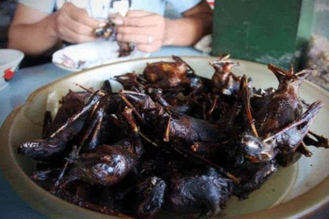 油炸蝙蝠 来自泰国的油炸蝙蝠,先将蝙蝠炸酥脆,淋上一层泰国特有的