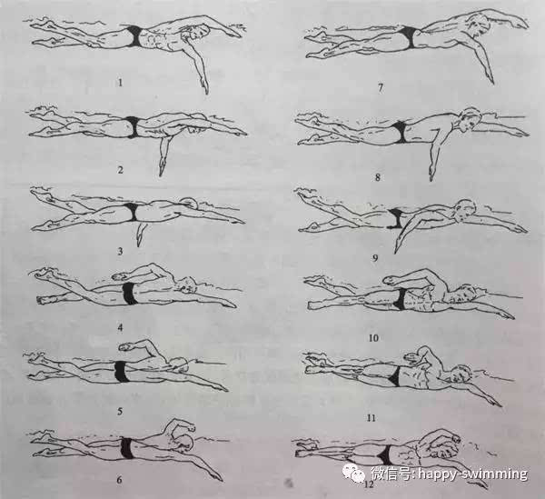 【泳技提高】菲尔普斯教练鲍勃强调自由泳必须注意的八个要点(附自由