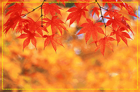 今日立秋,最美的立秋祝福送给你,越快打开越好!