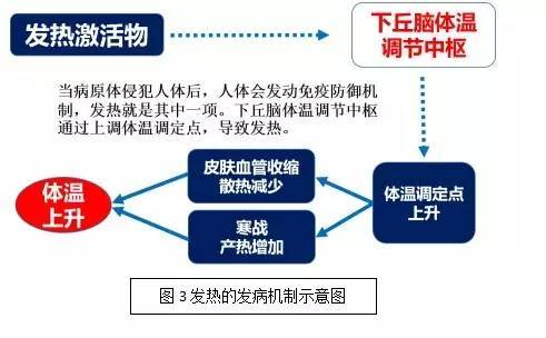 发烧体温上升是什么原理_发烧体温图片