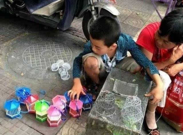 三桥一小树林现女尸 全身赤裸仅脚上穿着袜子;立秋到雨水来 未来三天