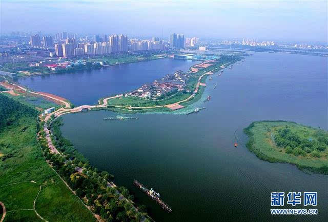 这是衡水市冀州区滨湖公园景观(8月9日摄).