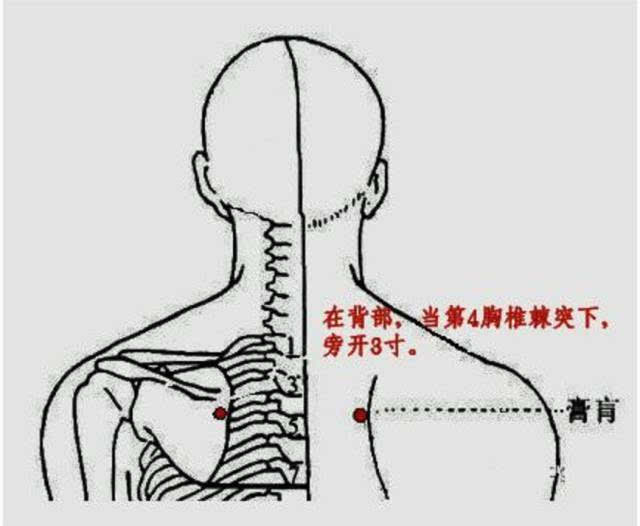 膏肓俞,在背部,当第4胸椎棘突下,旁开3寸