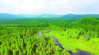 原始森林与湿地河流.李月安摄/光明图片