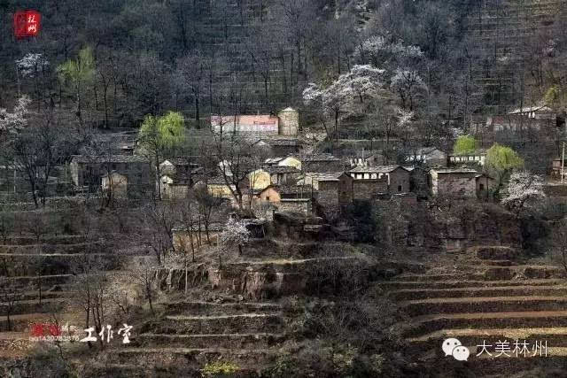 石板岩朝阳村