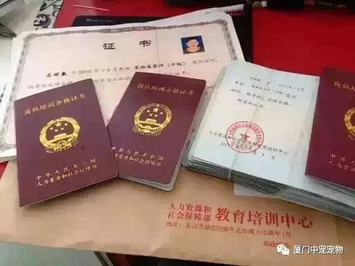 【宠物美容师权威证书】揭秘中宠的国家证书是如何获得的