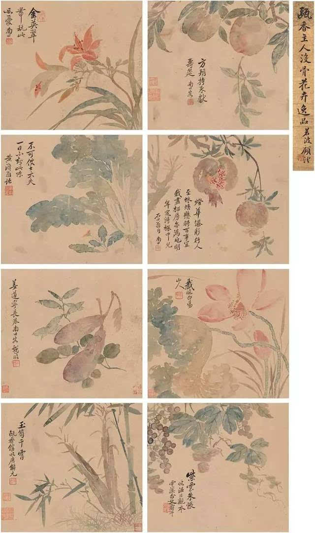 恽寿平|没骨花鸟作品精选(100幅)