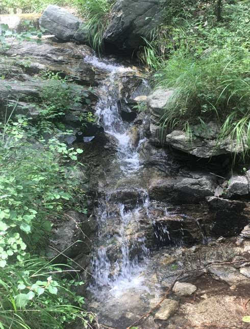 秀水峪景区 由于山林茂密,这里蕴含了充沛的水,道道山谷中,泉水叮咚