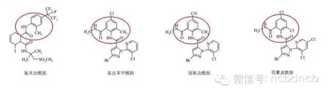 康宽,垄歌,倍内威,艾法迪和9080谁更强