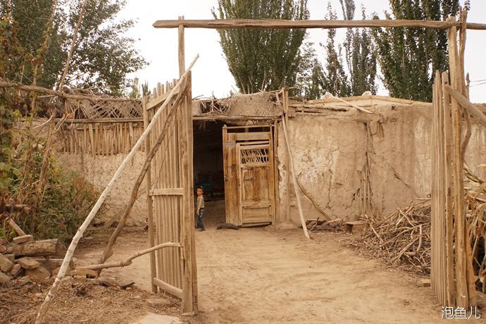 【新疆】看看南疆喀什的农村什么样