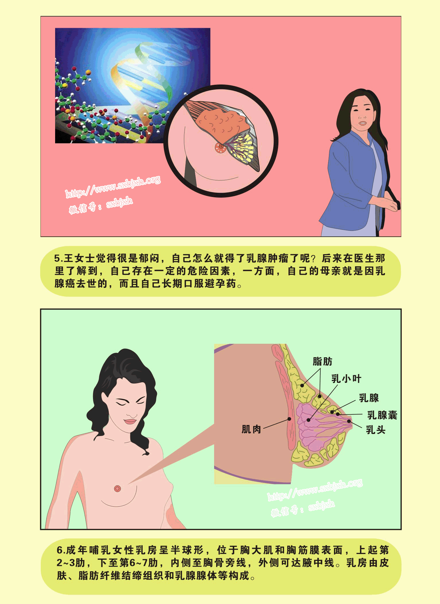 图解疾病——《乳腺癌》