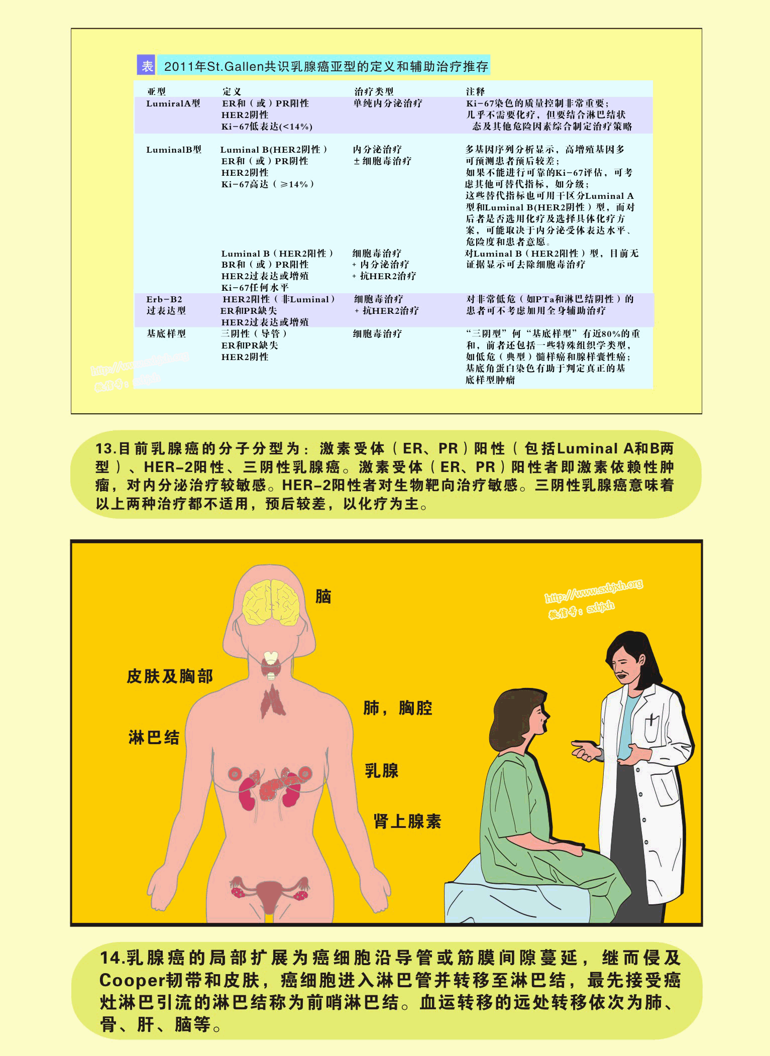 图解乳腺癌|平面|信息图表|r_oy - 原创作品 - 站酷 (ZCOOL)