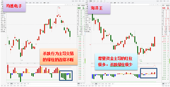 会智人口_人口普查