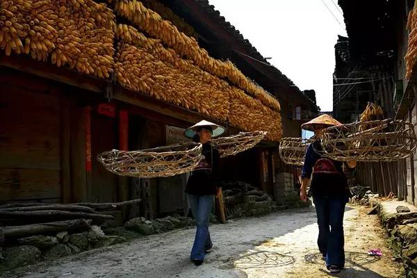 云南农村的真实生活,总有一张图片让你热泪盈眶!