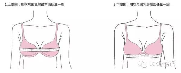 在这里先说一下,怎么测量罩杯,这个很重要,就像盖楼一样,要先打好地基