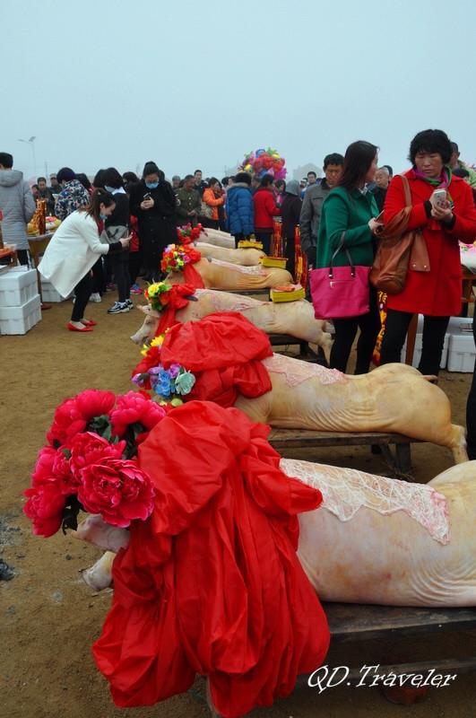 2016即墨田横祭海节三里红炮三牲成排