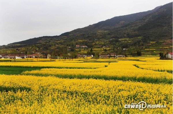 出口——张骞墓——桔园景区——文川镇文星村沿途赏花观景——柳林镇