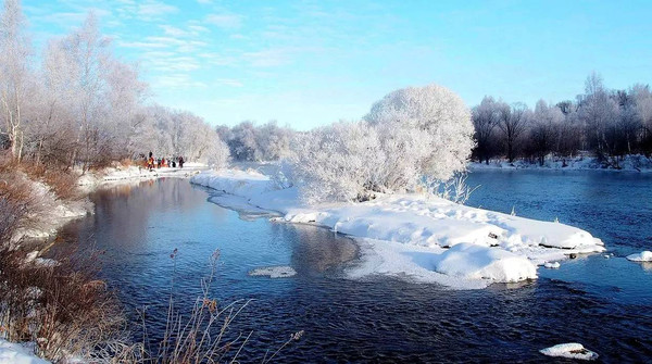 伊春市旅游局长告诉你在伊春"醉氧"是什么感觉?